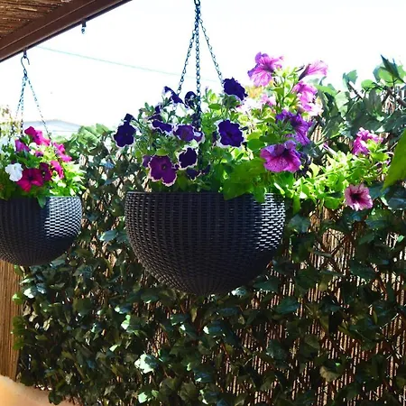 Lourenco's House Deluxe Affittacamere